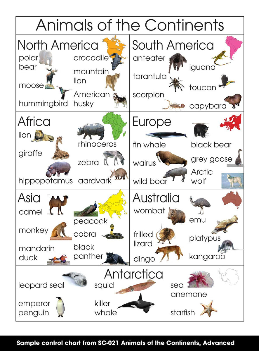 Animals of the Continents – Montessori Materials by Lakeview