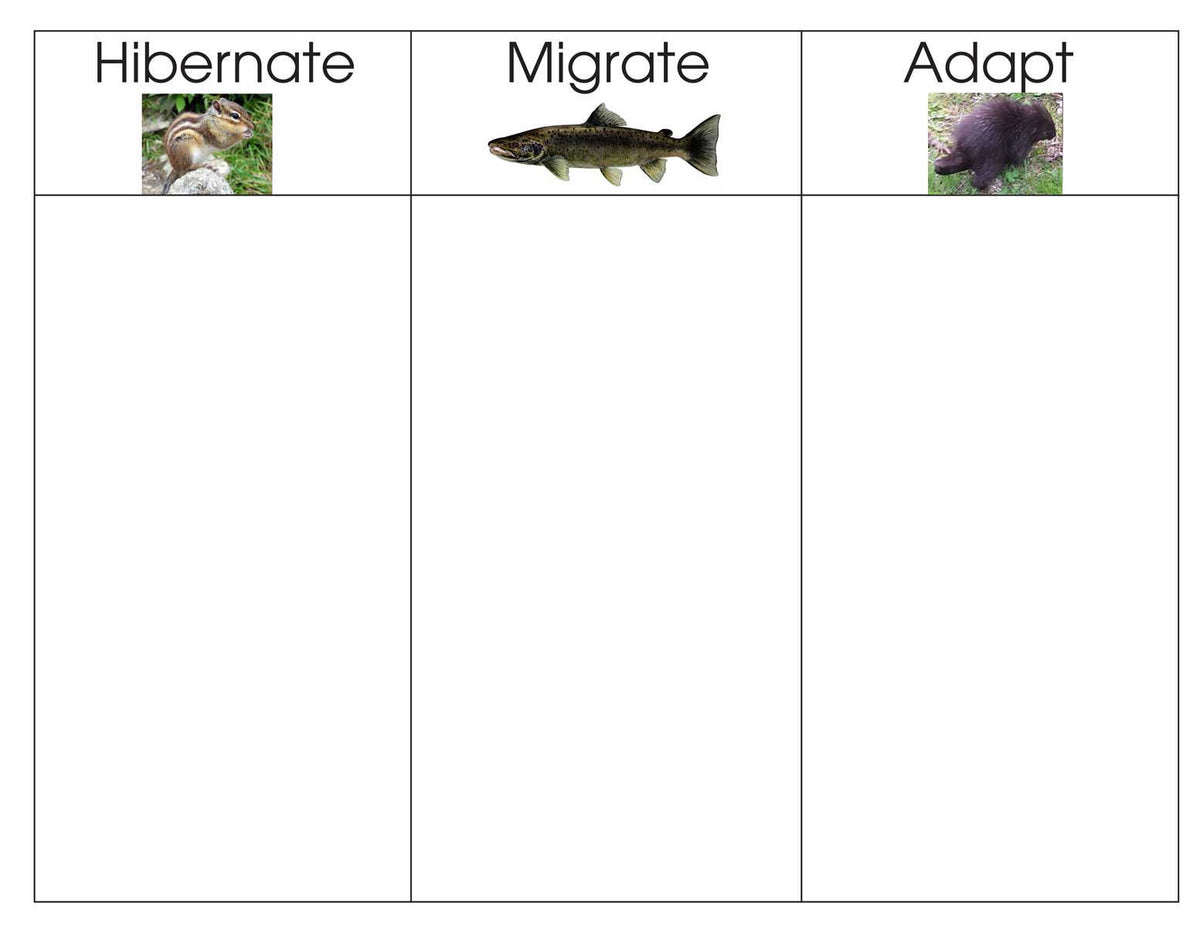 Hibernate/Migrate/Adapt – Montessori Materials by Lakeview