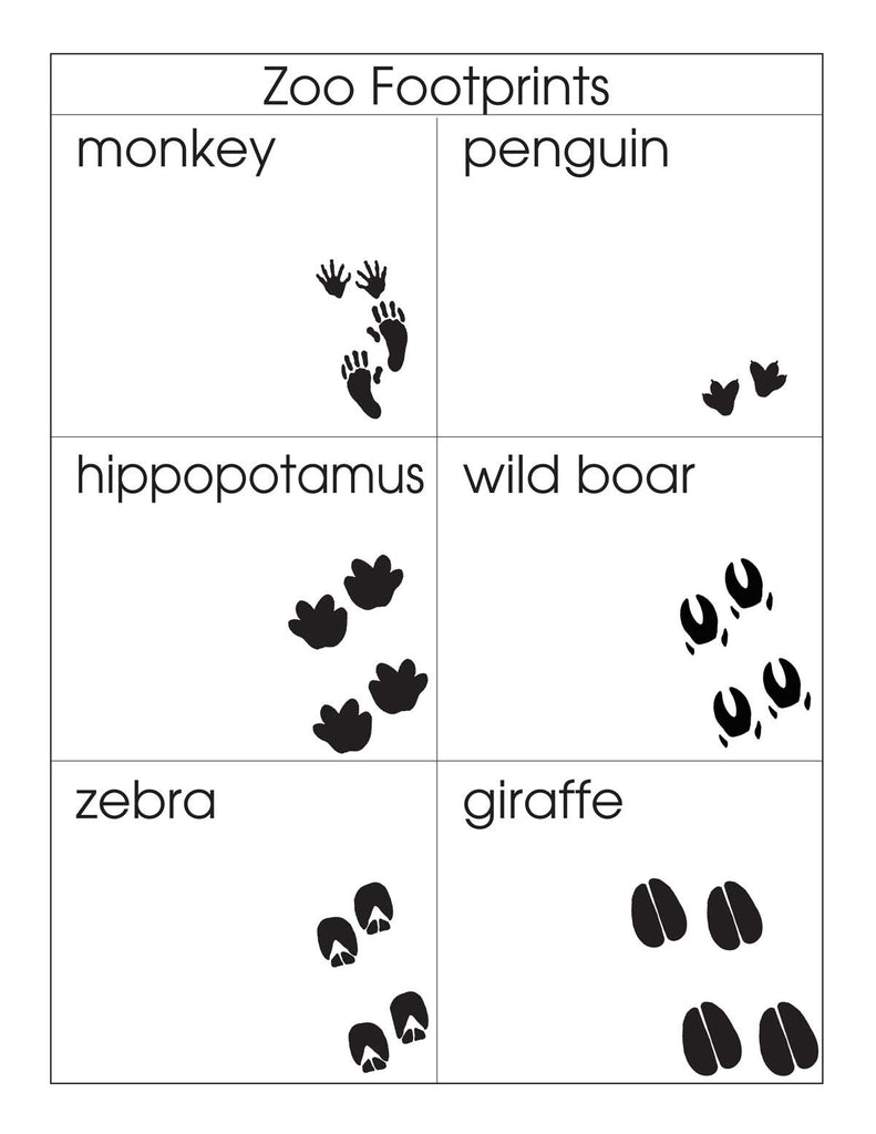 Animal Footprints Sorting Set – Montessori Materials by Lakeview