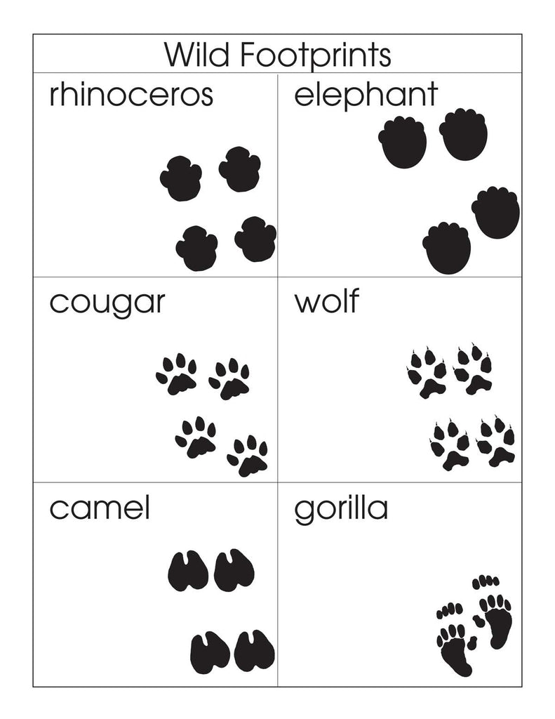 Animal Footprints Sorting Set – Montessori Materials by Lakeview